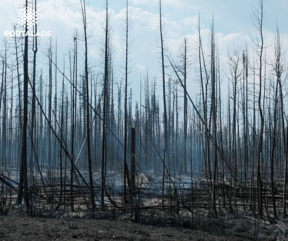 Los incendios forestales en el oeste de Canadá generan evacuaciones masivas